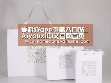 项目名称十一