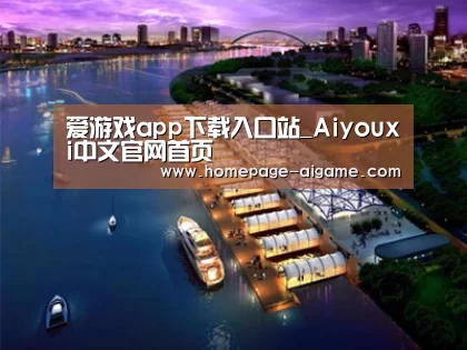 案例展示八