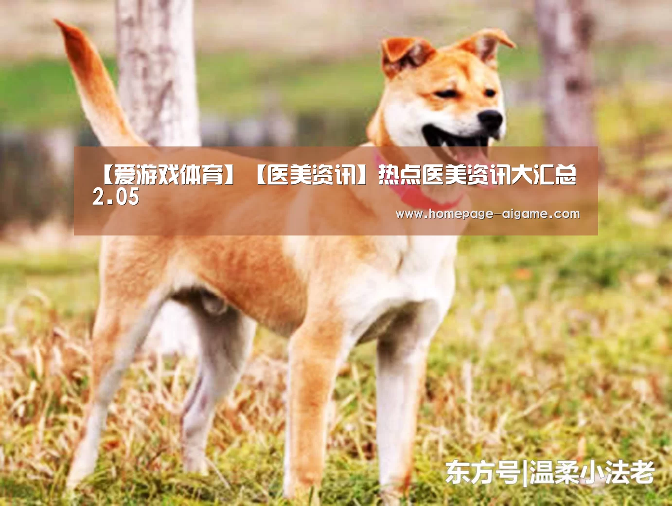 【爱游戏体育】【医美资讯】热点医美资讯大汇总 2.05(图2) 爱游戏官方入口