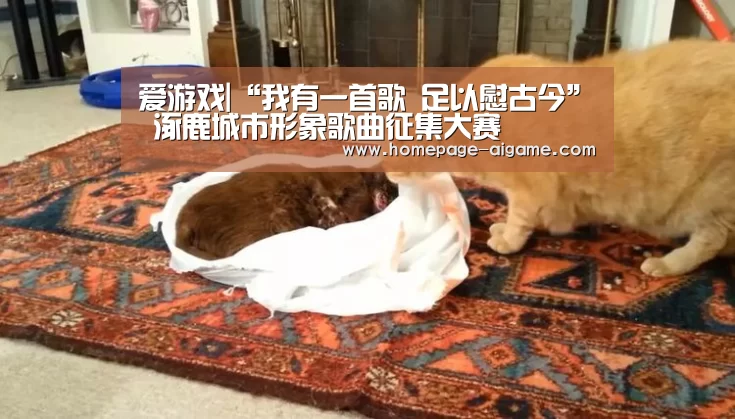 爱游戏官方入口