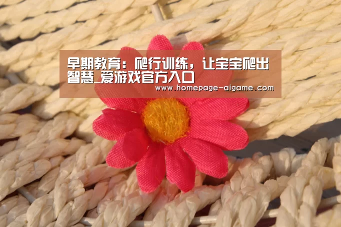 早期教育:爬行训练,让宝宝爬出智慧_爱游戏官方入口(图3) 爱游戏棋牌