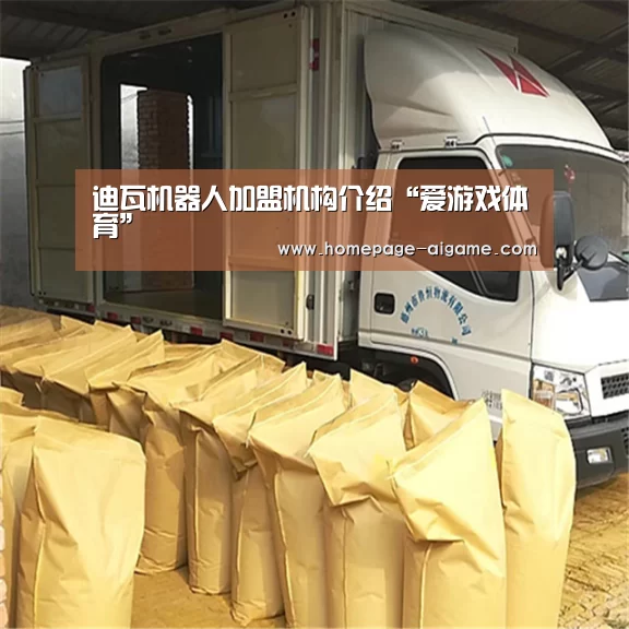 迪瓦机器人加盟机构介绍“爱游戏体育”(图4) 爱游戏