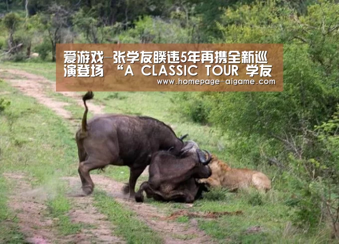 爱游戏-张学友睽违5年再携全新巡演登场 “A CLASSIC TOUR 学友·经典世界巡回演唱会”深圳开唱(图3) 爱游戏体育