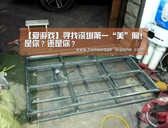 爱游戏官方入口